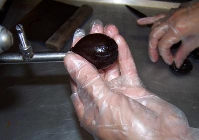 Favols' Pruneaux d'Agen (Stuffed Plums) - Image 6