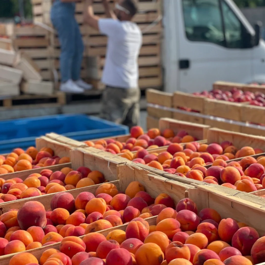Le Presseur d'Ici's Pure Fruit Nectars - Image 3